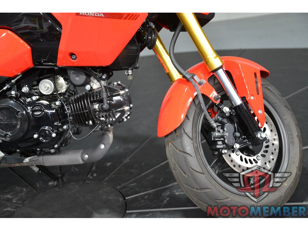 2025 Honda Grom alt