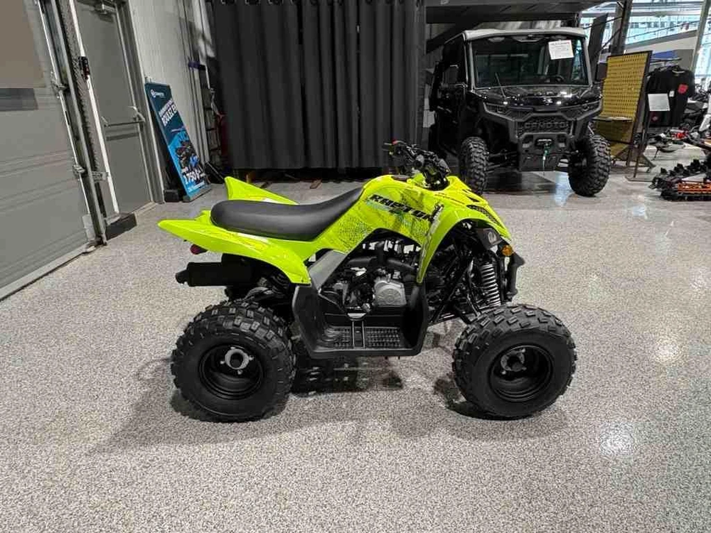 2026 Yamaha Raptor 110 alt