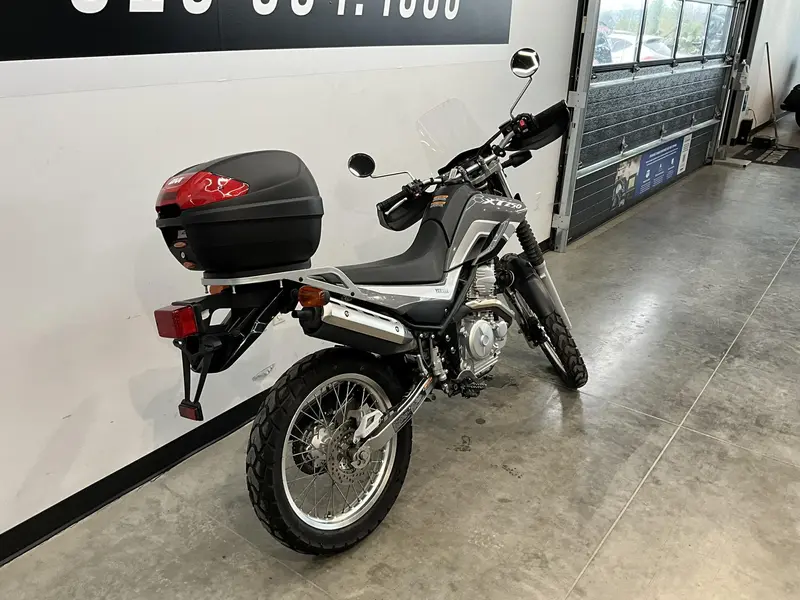 2021 Yamaha Marine XT250 thumbnail 8