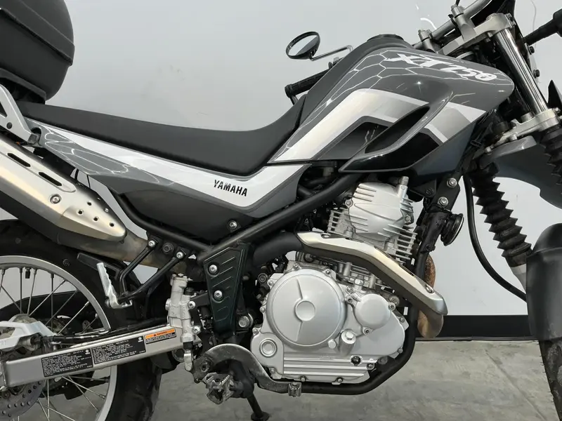 2021 Yamaha Marine XT250 thumbnail 5