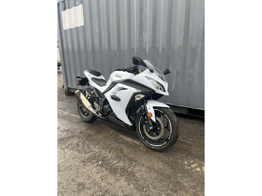 Kawasaki Ninja 300 2014 alt