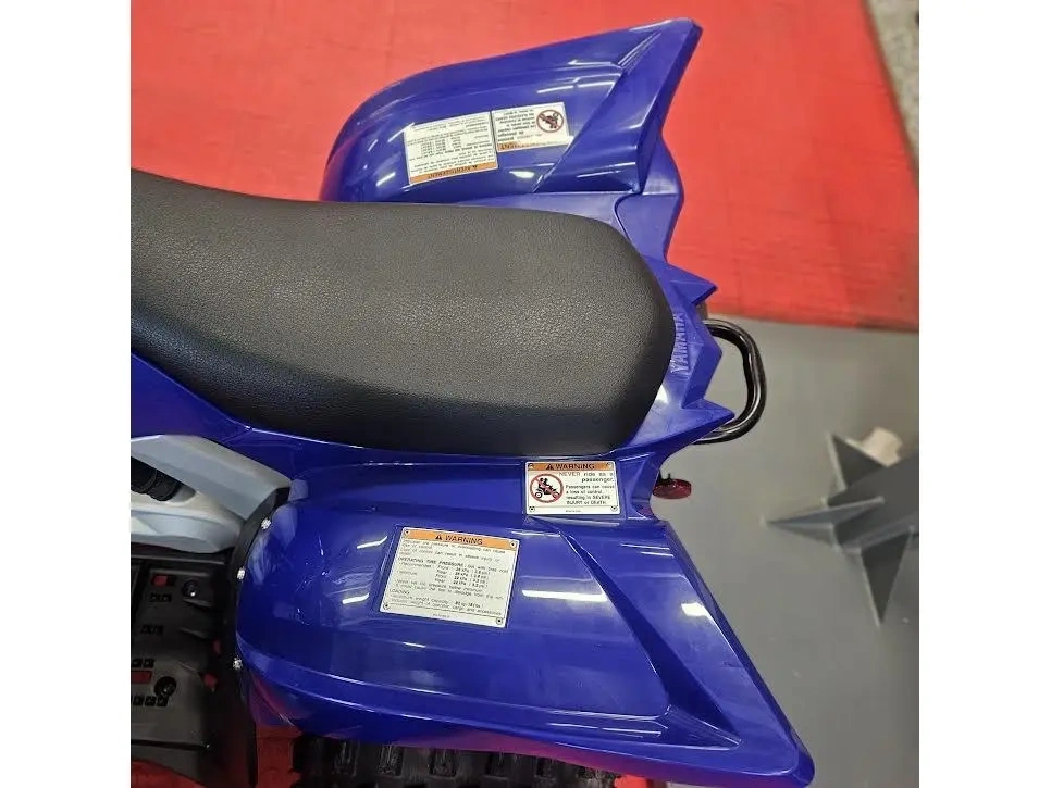 2026 Yamaha Raptor 110 alt