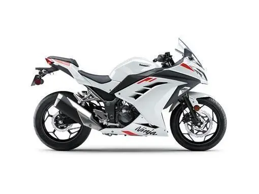 2026 Kawasaki NINJA 300 thumbnail 3