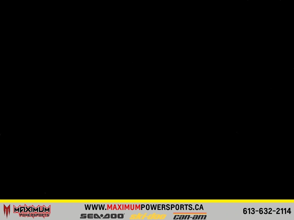 Sea-doo/brp Rxt-x 300 Rotax 1630 Ace 2019 alt