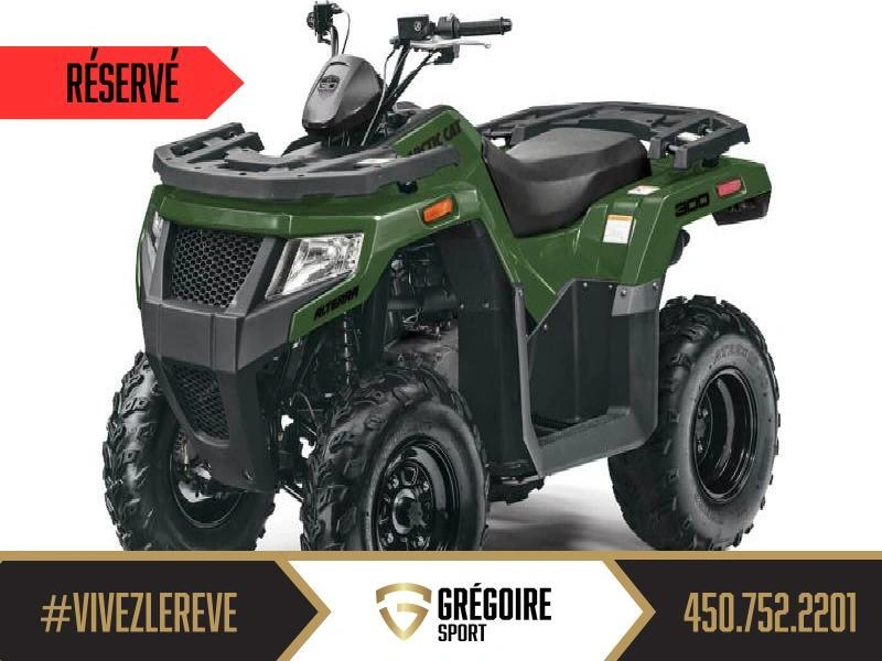 Arctic Cat Alterra 300 2026 alt