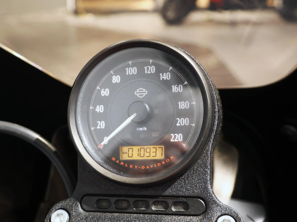 2019 Harley-davidson Sportster Iron 883 Xl883n alt