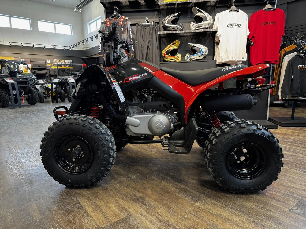 2026 Can-am Ds 250 alt
