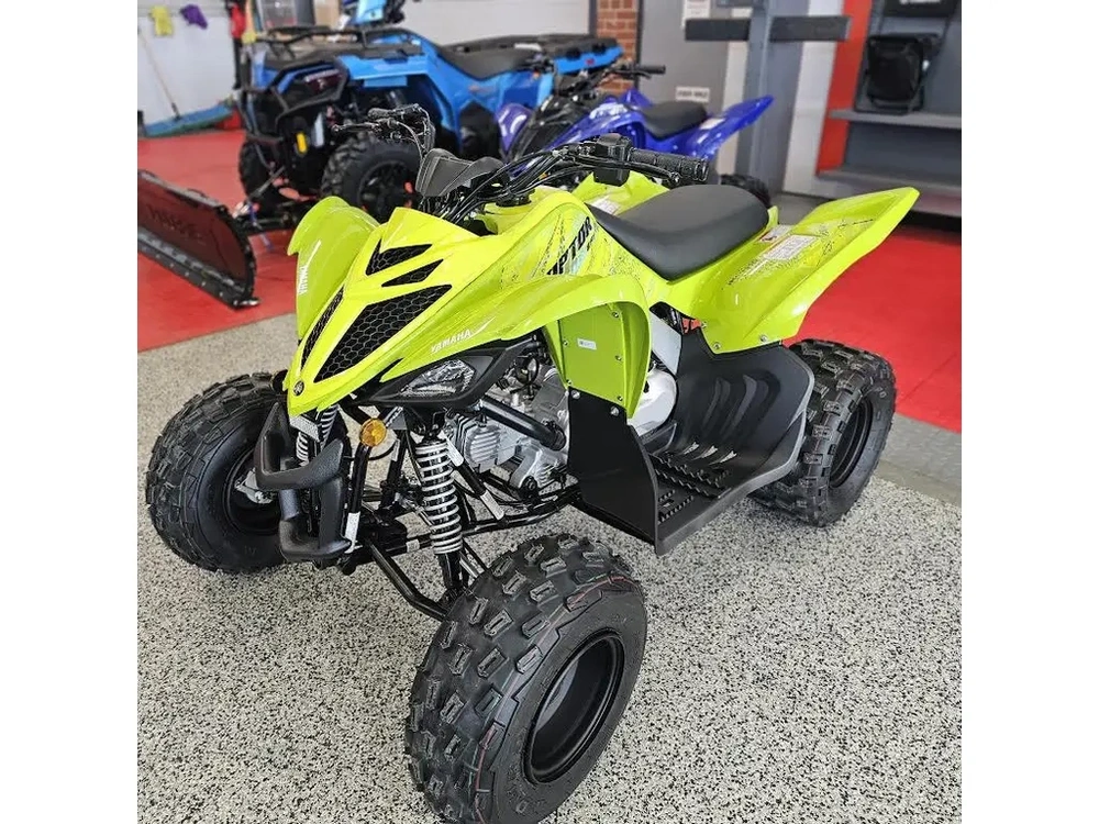 2026 Yamaha Raptor 110 alt