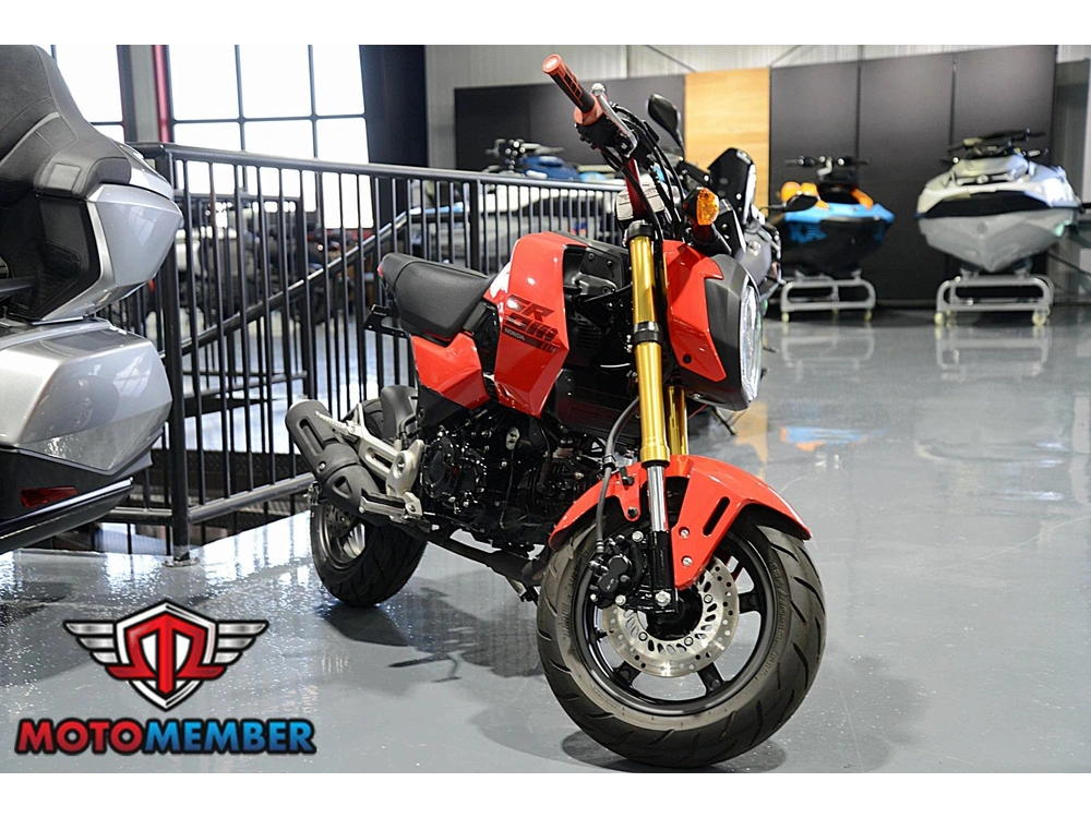 2025 Honda Grom alt
