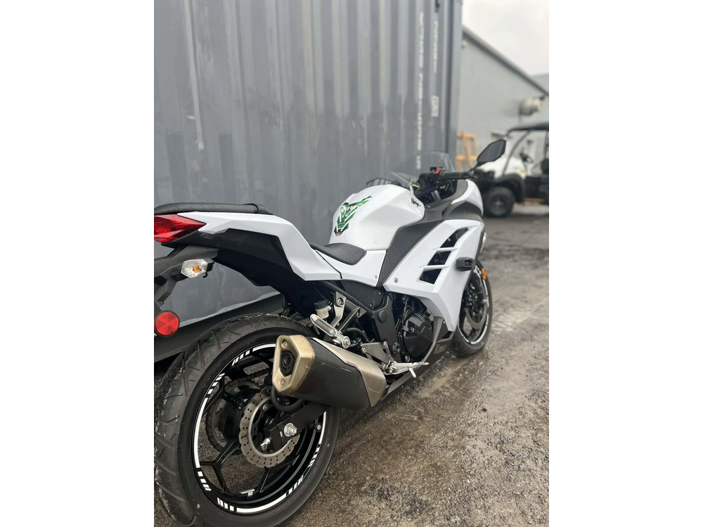 Kawasaki Ninja 300 2014 alt