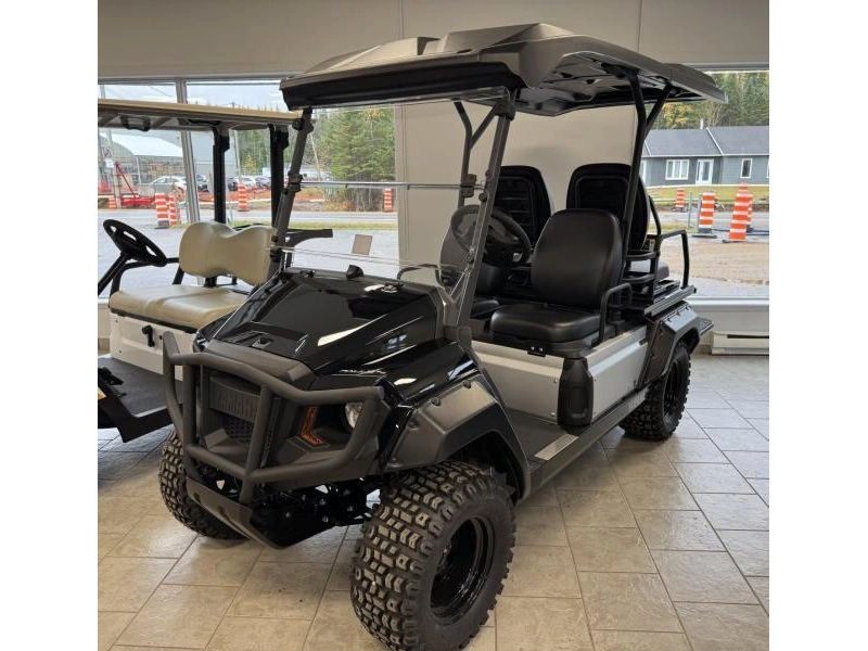 2025 Yamaha Umax Two Rally alt