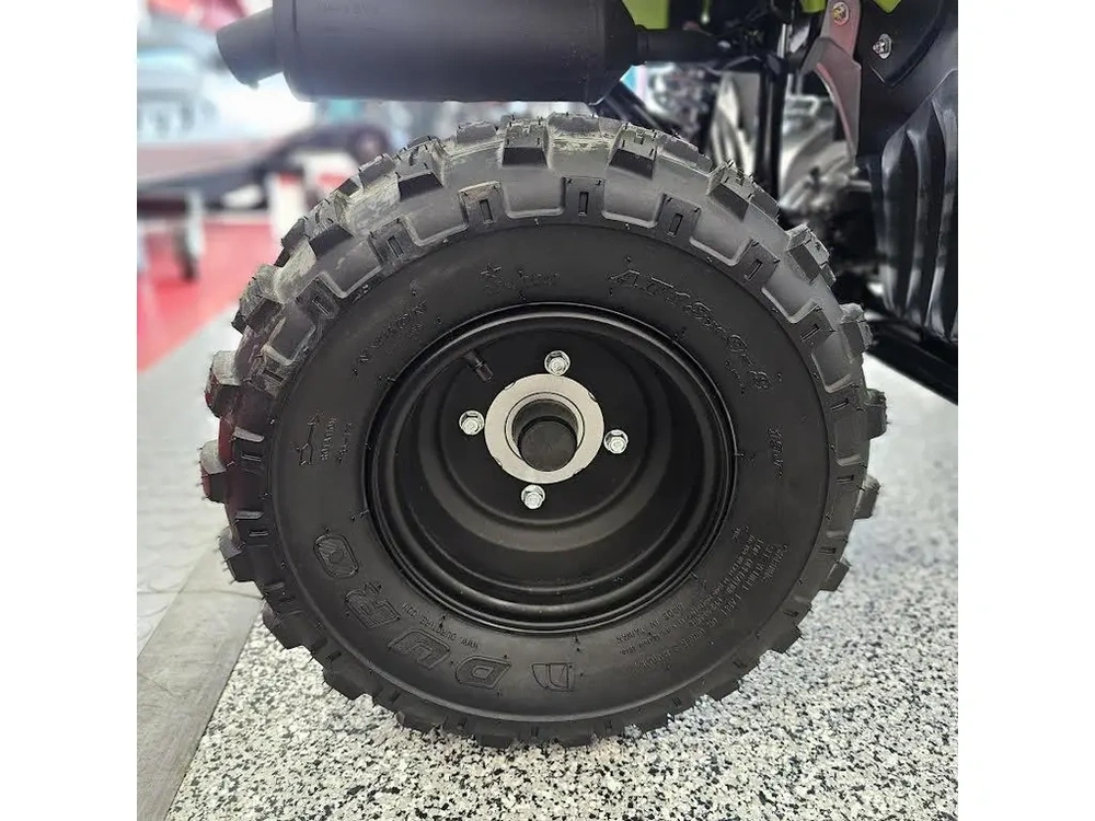 2026 Yamaha Raptor 110 alt