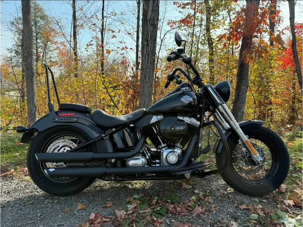 Harley-Davidson SOFTAIL SLIM 103 2016