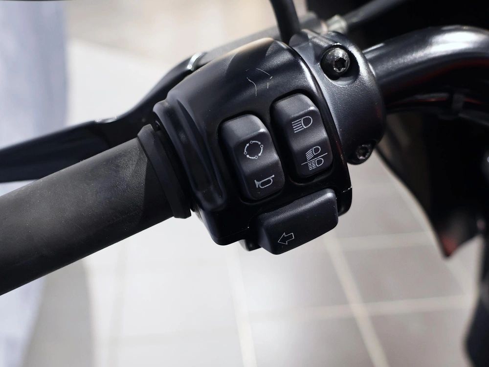 2019 Harley-davidson Sportster Iron 883 Xl883n alt