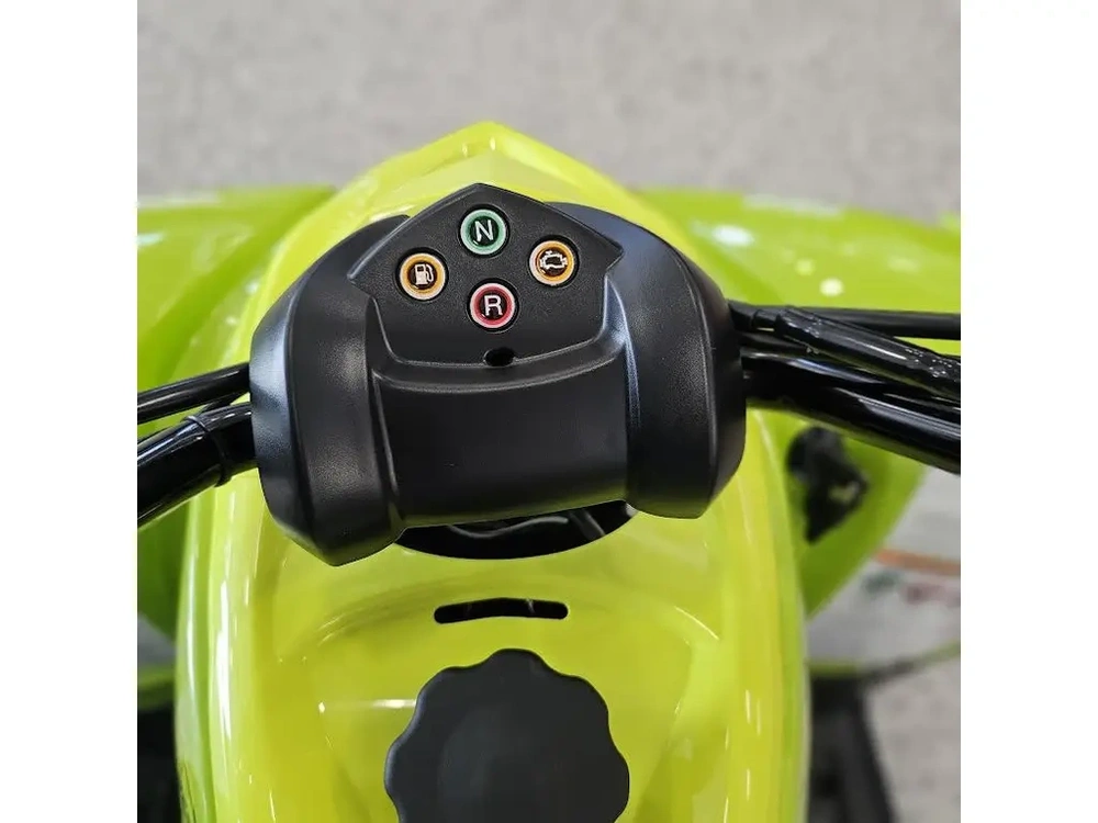 2026 Yamaha Raptor 110 alt