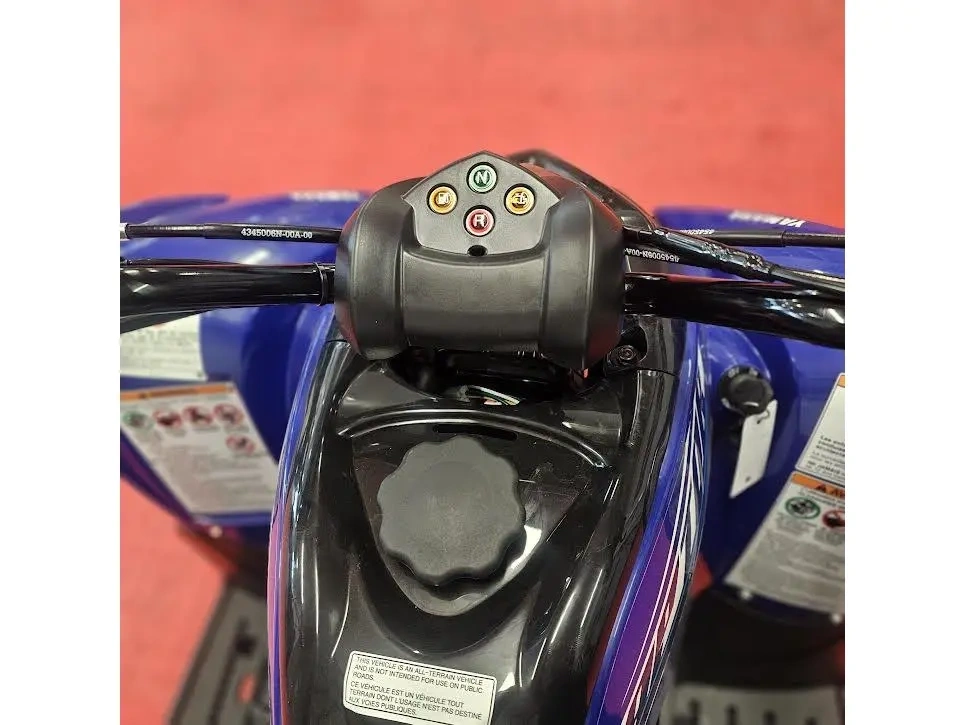 2026 Yamaha Raptor 110 alt