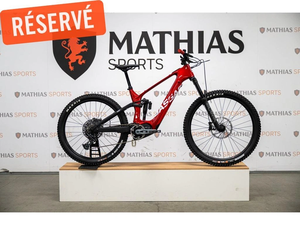 Gasgas Mxc 4 Gx M/l Demo 2024 alt