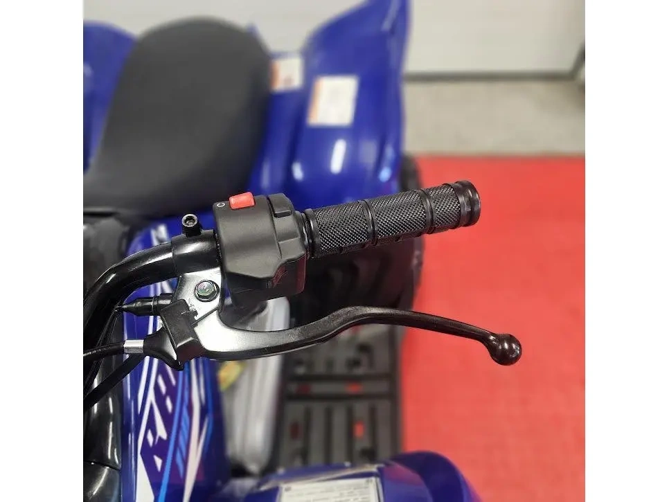 2026 Yamaha Raptor 110 alt