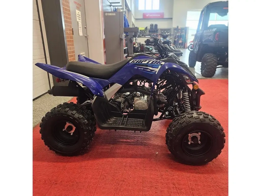 2026 Yamaha Raptor 110 alt