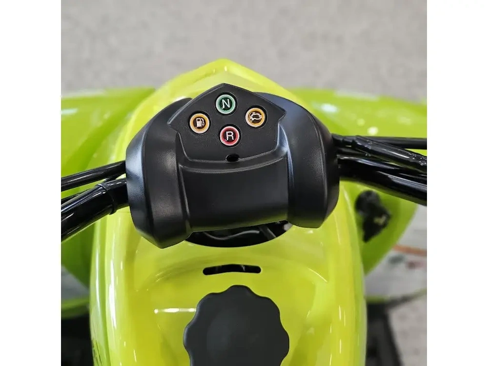 2026 Yamaha Raptor 110 alt