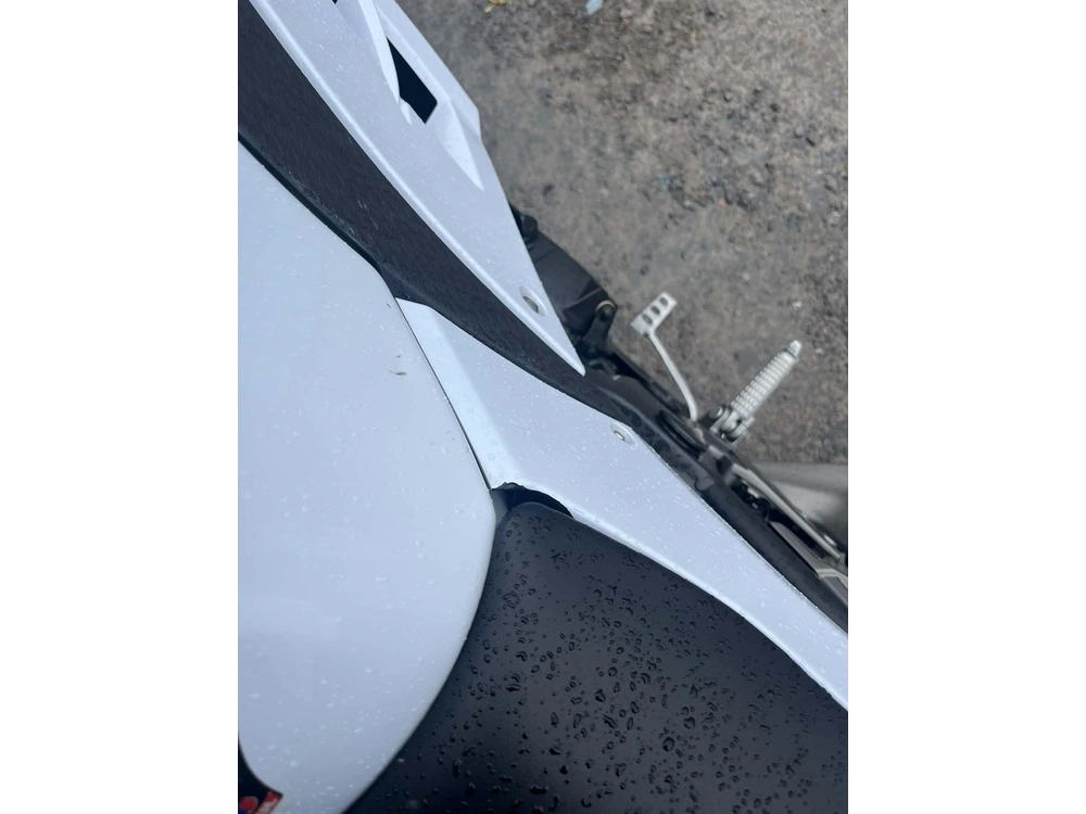 Kawasaki Ninja 300 2014 alt