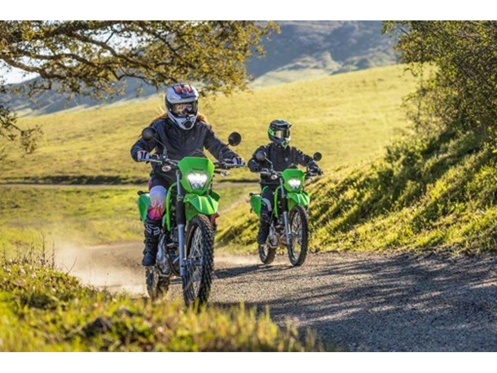 2025 Kawasaki Klx230 Dual Sport alt