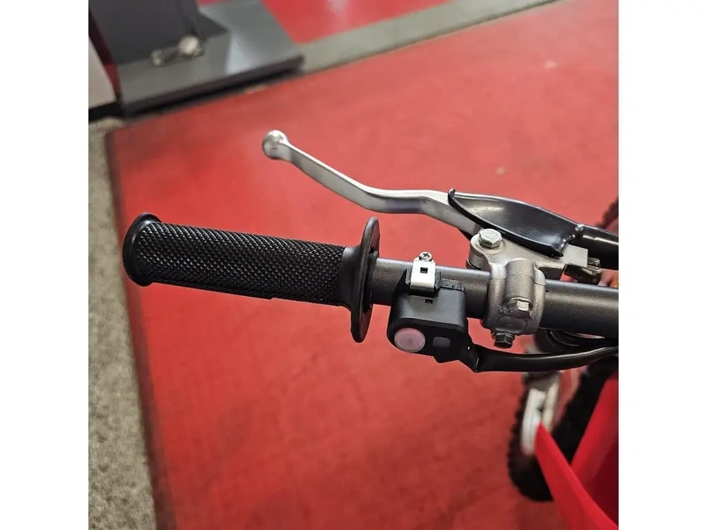 2026 Honda Crf 300ft alt