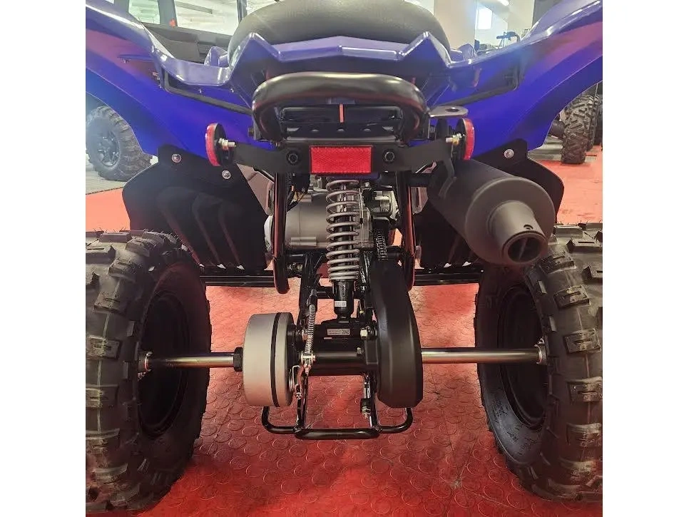 2026 Yamaha Raptor 110 alt