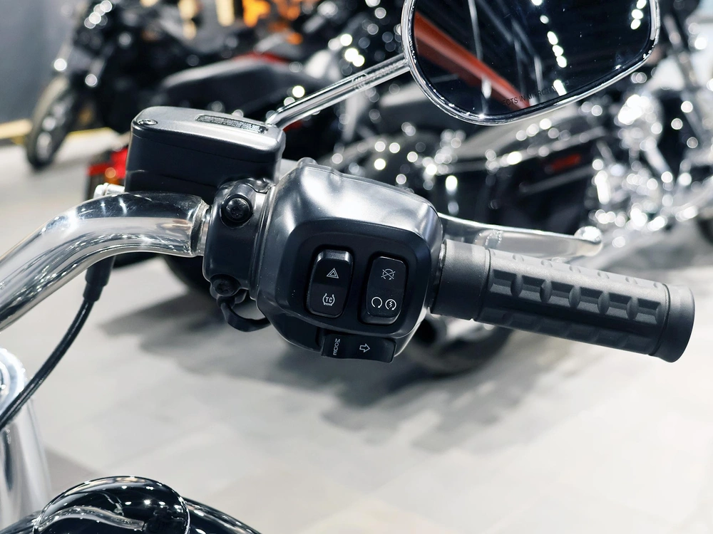 2025 Harley-davidson Fat Boy Ghost Flstf alt