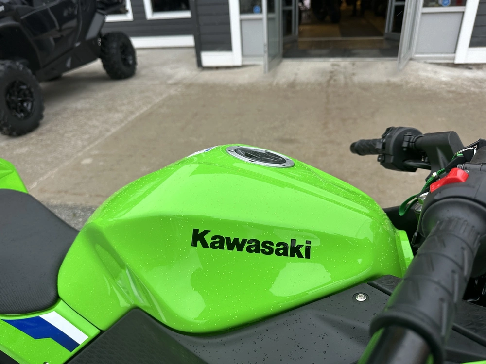 2026 Kawasaki Ninja 300 Abs alt