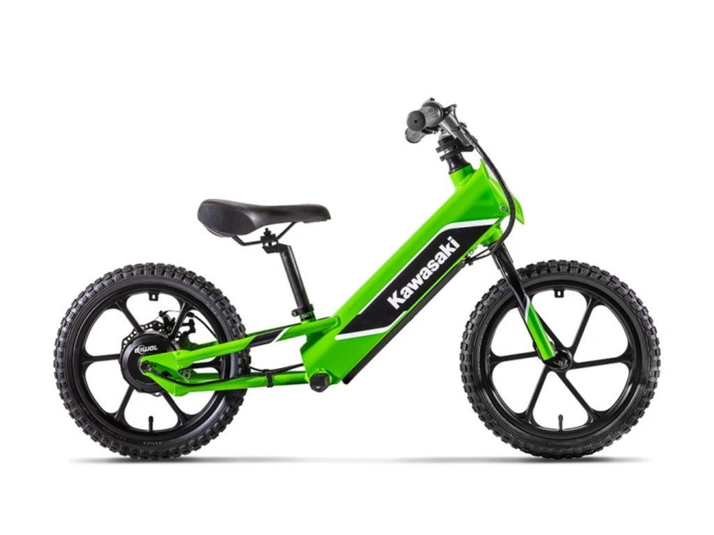 2024 Kawasaki Elektrode alt