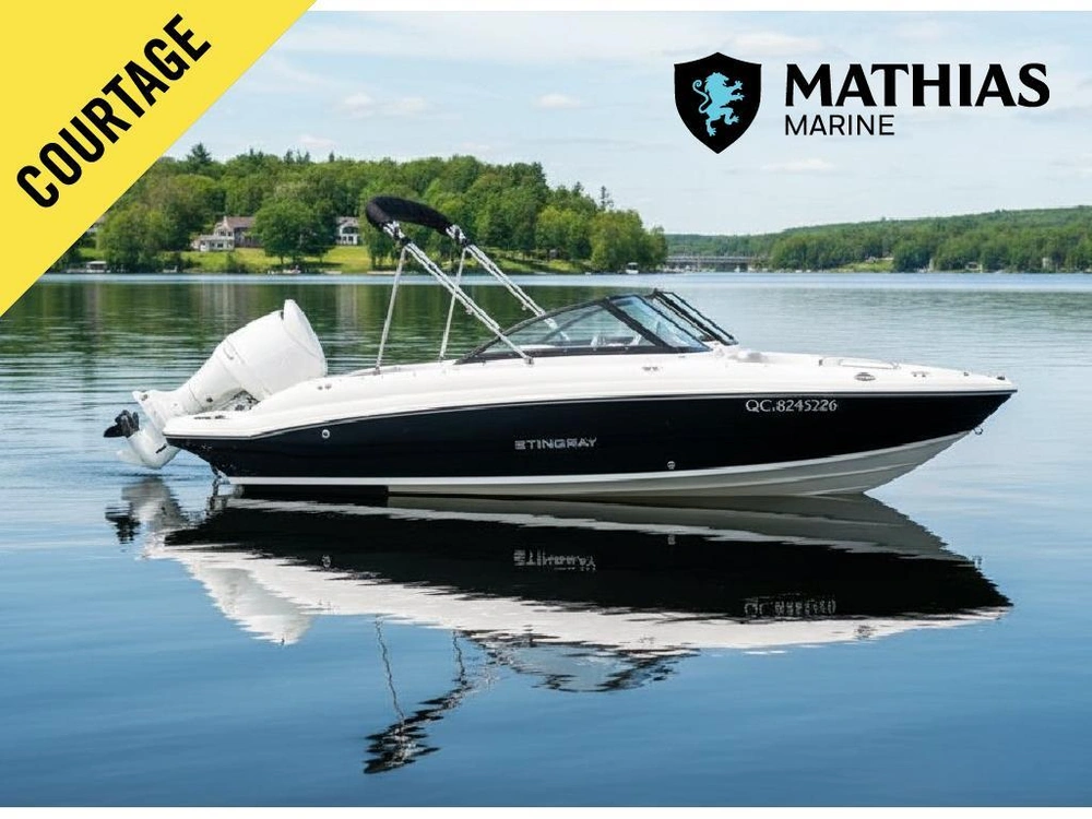 2022 Stingray 191 Dc alt