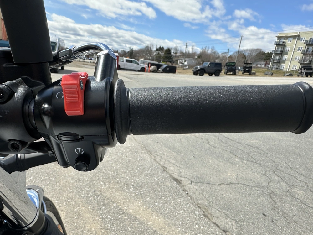 2026 Kawasaki W800 alt