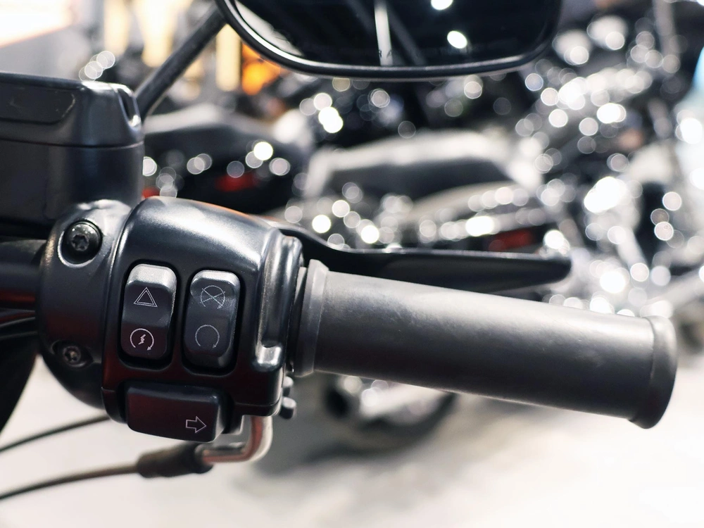 2019 Harley-davidson Sportster Iron 883 Xl883n alt