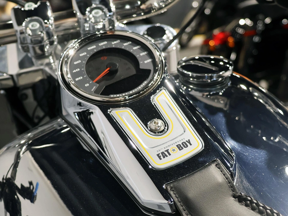 2025 Harley-davidson Fat Boy Ghost Flstf alt