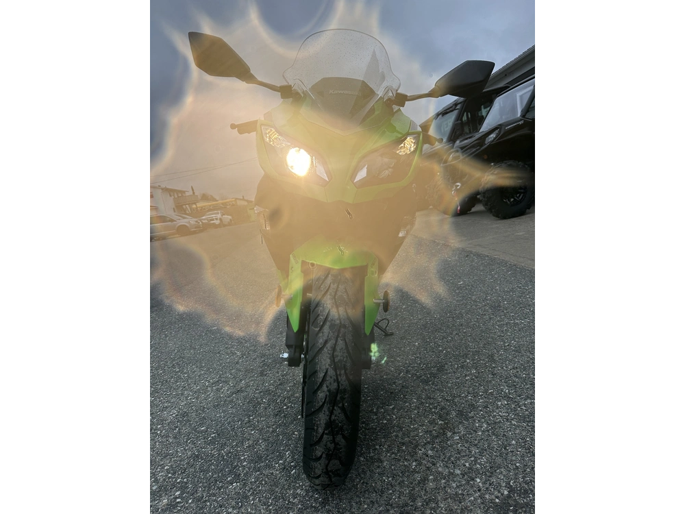2026 Kawasaki Ninja 300 Abs alt