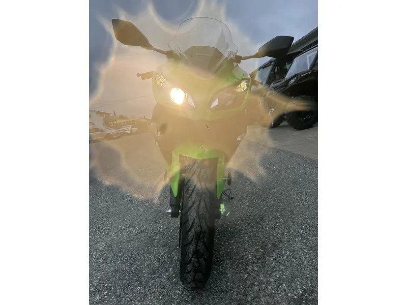 2026 Kawasaki Ninja 300 ABS thumbnail 3