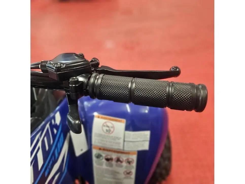 2026 Yamaha Raptor 110 alt