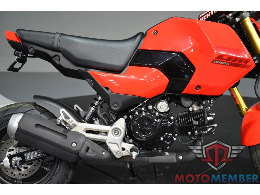 2025 Honda Grom alt