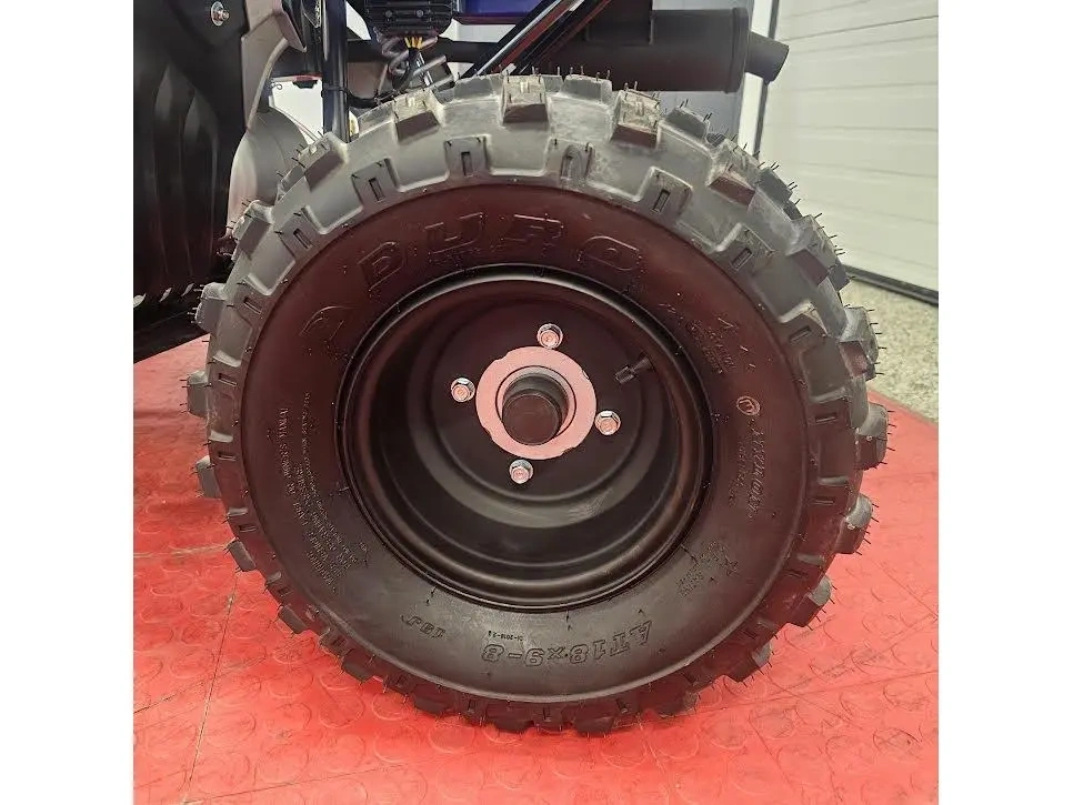 2026 Yamaha Raptor 110 alt