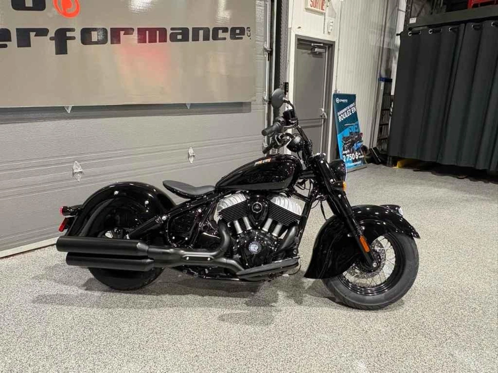 Indian Motorcycle Chief Vintage 2026 alt