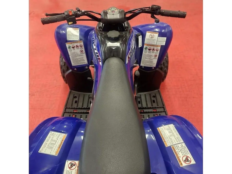 2026 Yamaha Raptor 110 alt