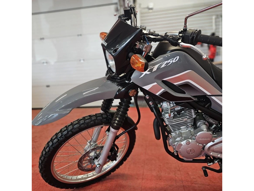 2025 Yamaha Xt 250 alt