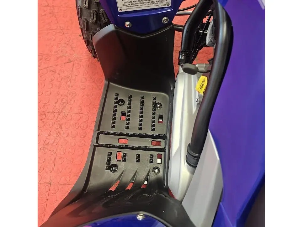 2026 Yamaha Raptor 110 alt
