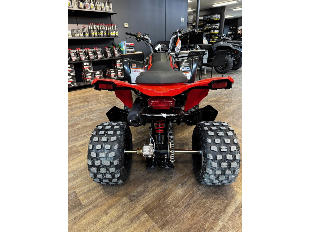 2026 Can-am Ds 250 alt