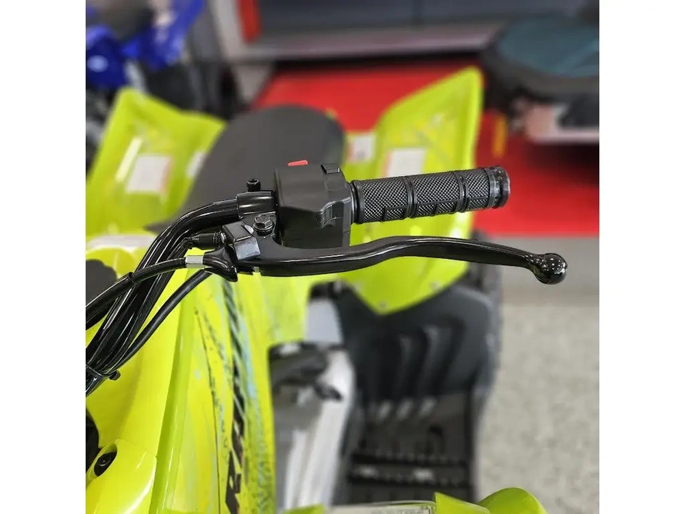 2026 Yamaha Raptor 110 alt