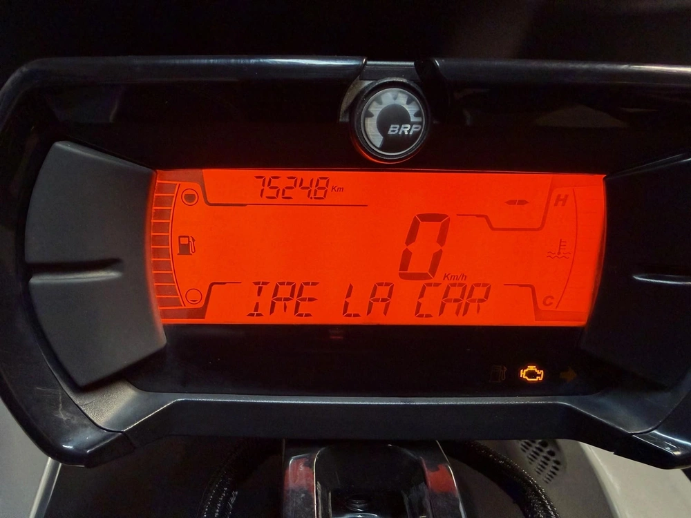 Can-am Ryker Sport 900 Ace 2024 alt