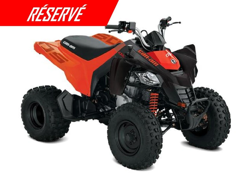 Can-am Ds 250 2026 alt
