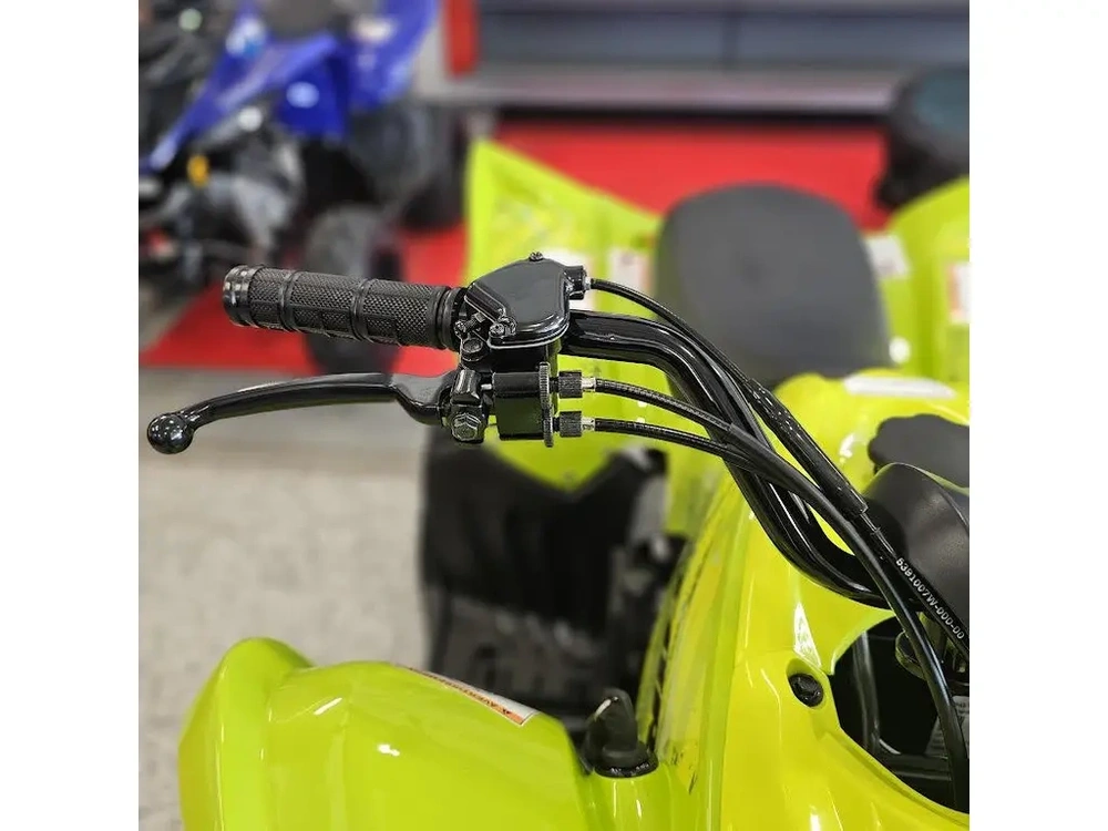 2026 Yamaha Raptor 110 alt