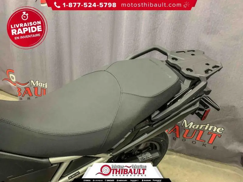 2025 Suzuki V-STROM 800 thumbnail 13